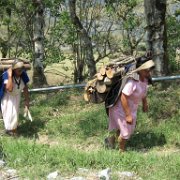 Cuauxicala _huauchinango04